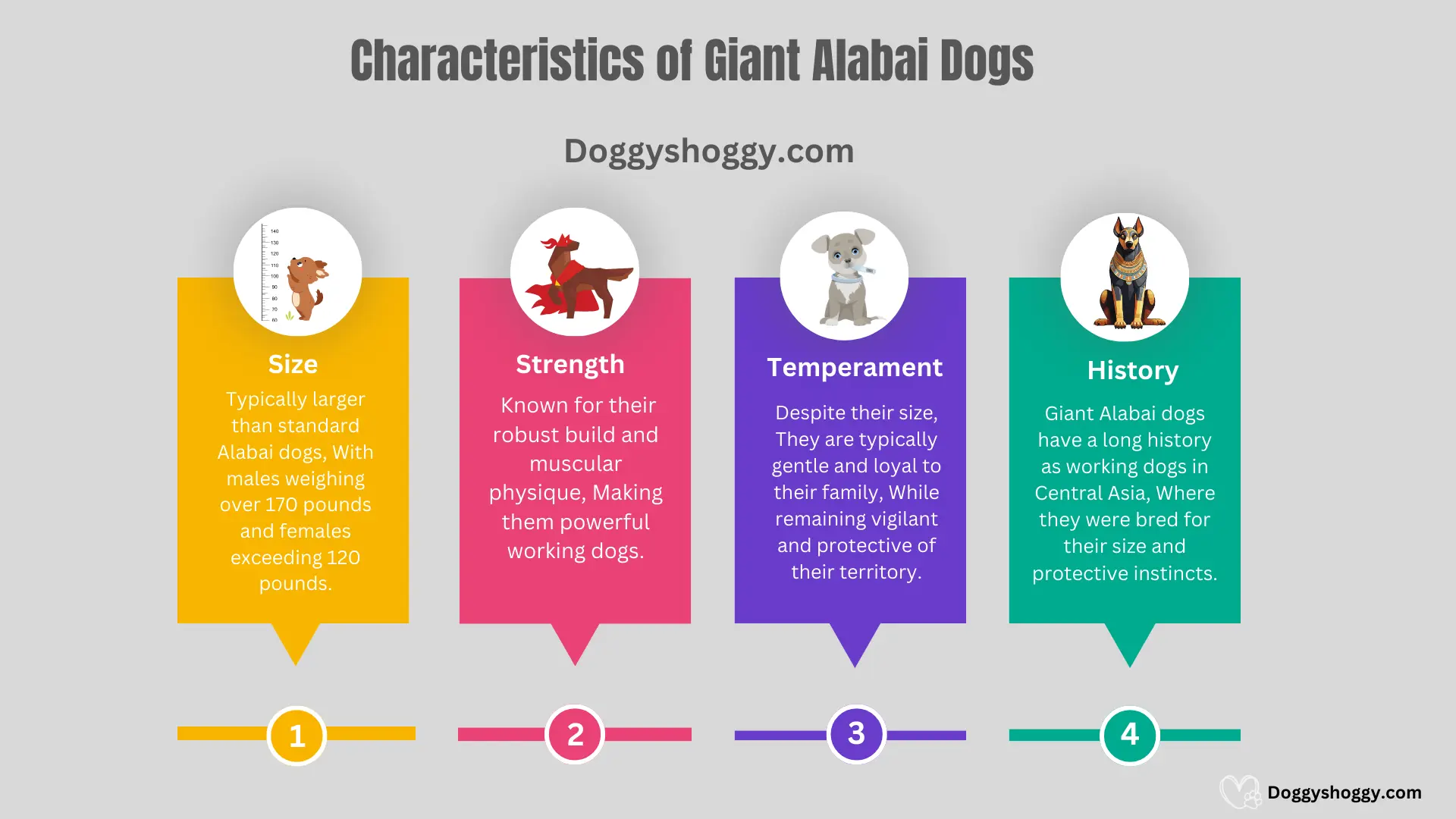 Characteristics of Giant Alabai Dogs

