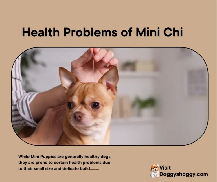 Health Problems of Mini Chi