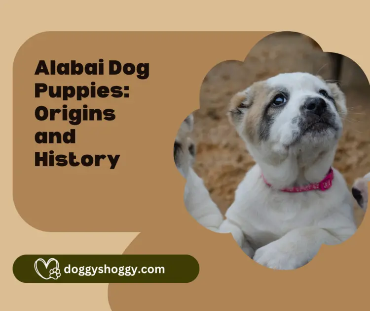 Alabai Dog Puppies: Origins and History