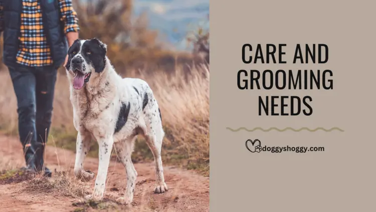 Care and Grooming Needs