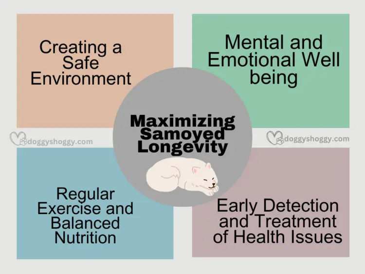 Maximizing Samoyed Longevity