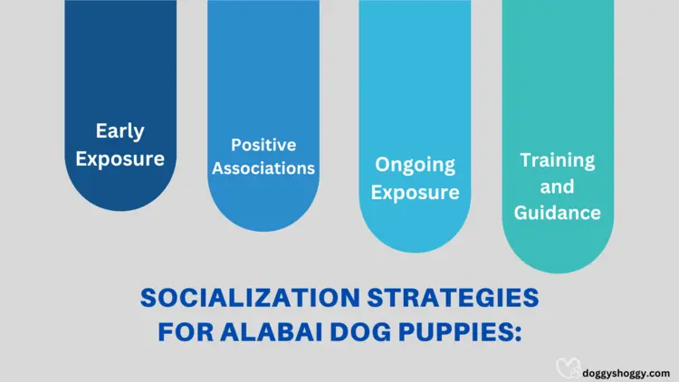 Socialization Strategies for Alabai Dog Puppies
