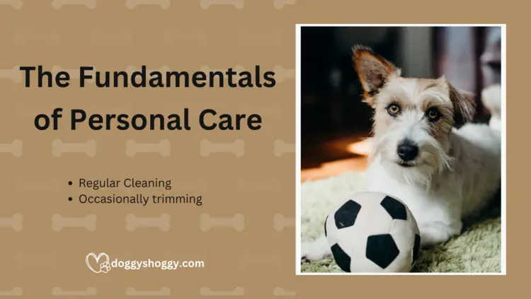 The Fundamentals of Personal Care