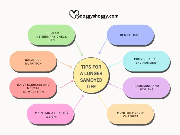 Tips for a Longer Samoyed Life