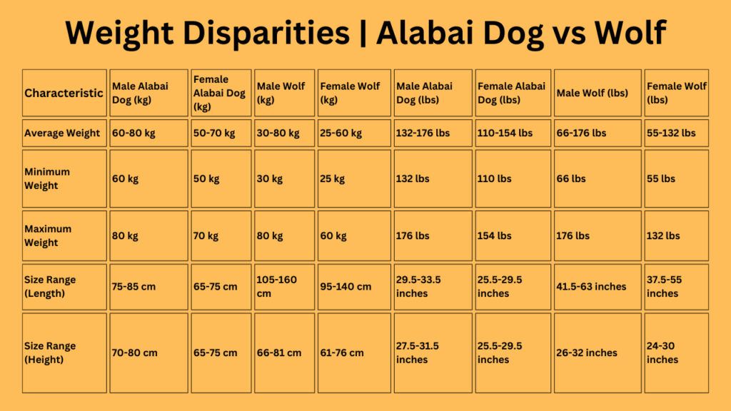 Weight Disparities Alabai Dog vs Wolf
