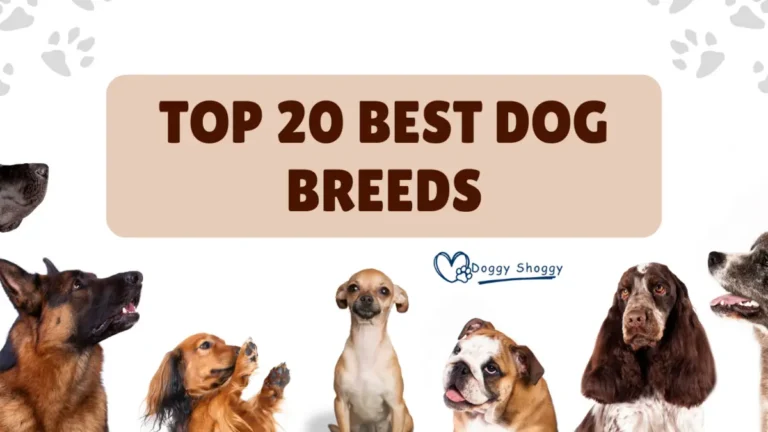 Best Dog Breeds