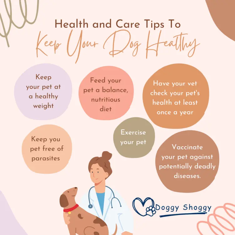 Health and Care Tips for Dogs