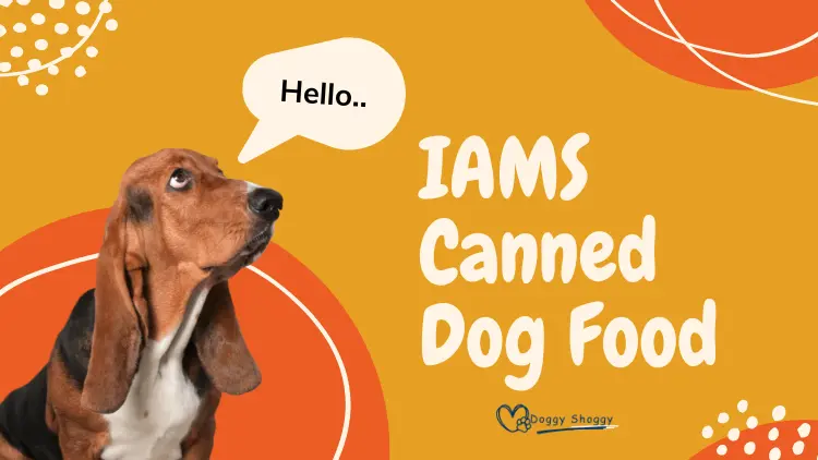 IAMS Canned Dog Food