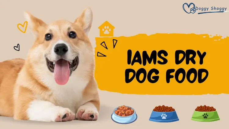 Is IAMS a Good Dog Food