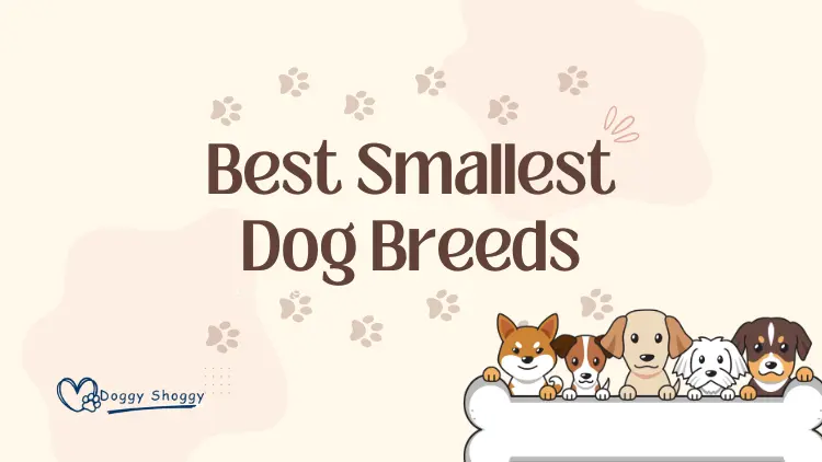 Smallest Dog Breeds