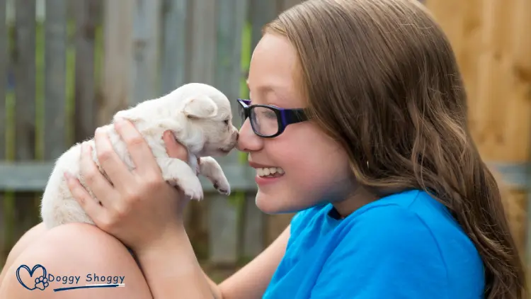 Are Teacup Chihuahuas Good with Kids?